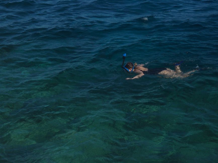 snorkeling, Zadar